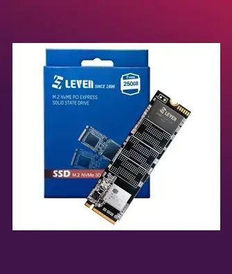 M.2 LEVEN 250GB NVME