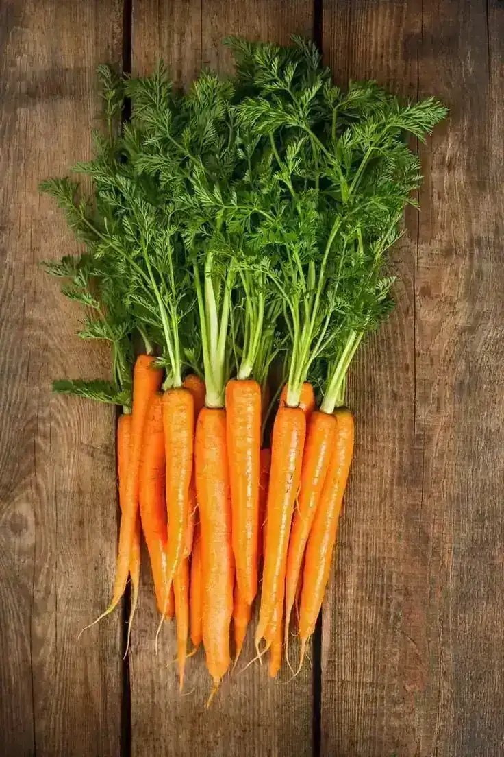 ZANAHORIA 2LBS PEQ