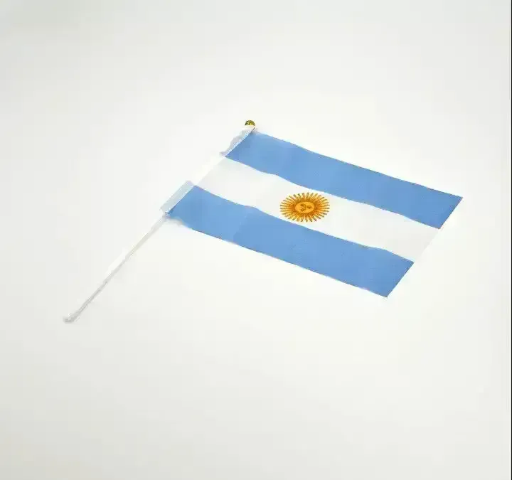 Banderita argentina con palito 14 x 21 cm 2
