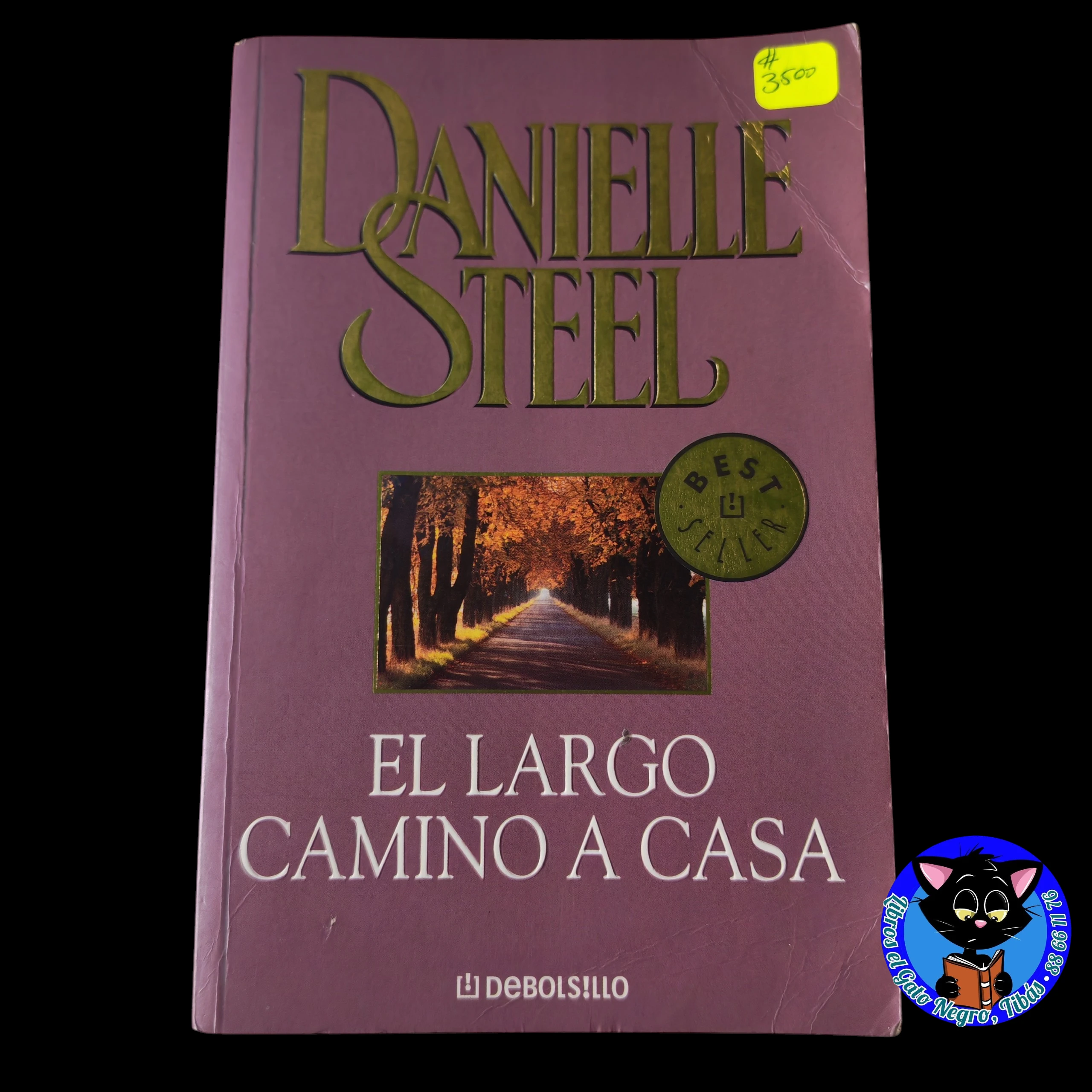 El largo Camino a casa, Danielle Steel, usado