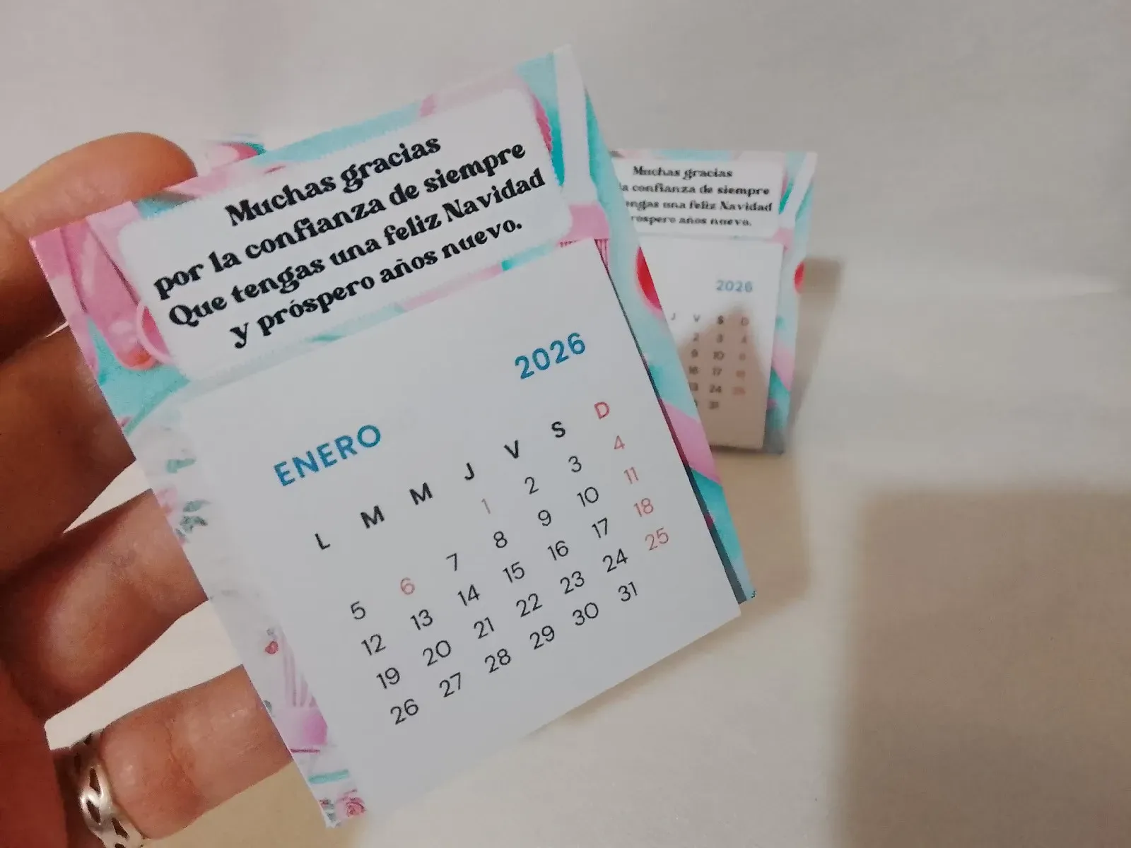 Calendario carpa chico pack por 10 unidades  2