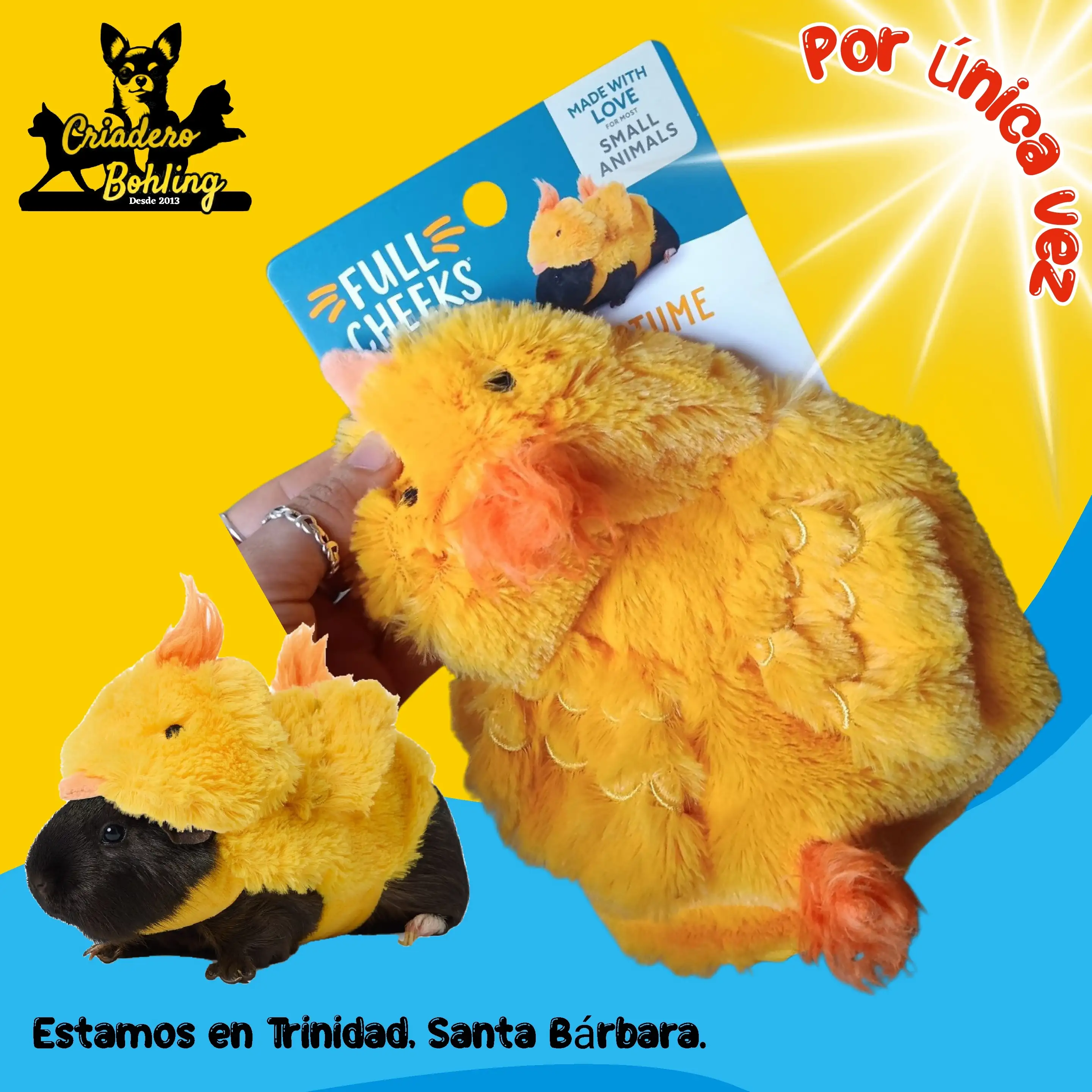 Disfraz de pollito