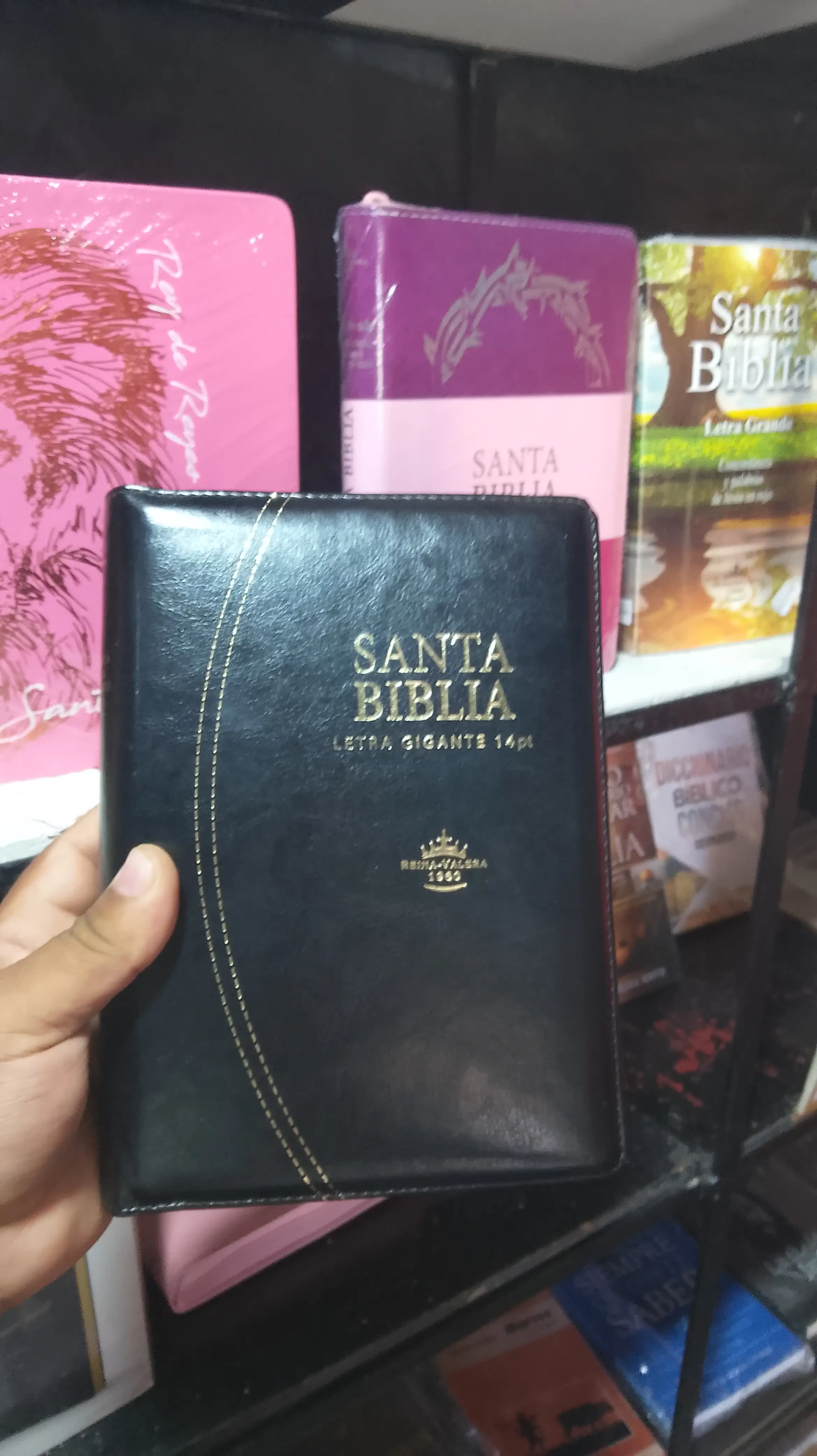 Biblia RVR1960 letra gigante