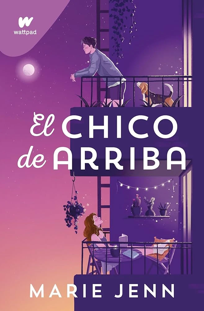 EL CHICO DE ARRIBA 