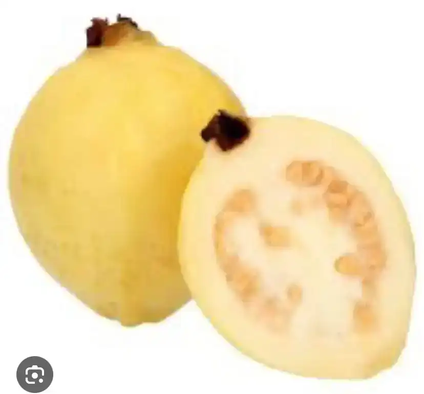 Guayaba 