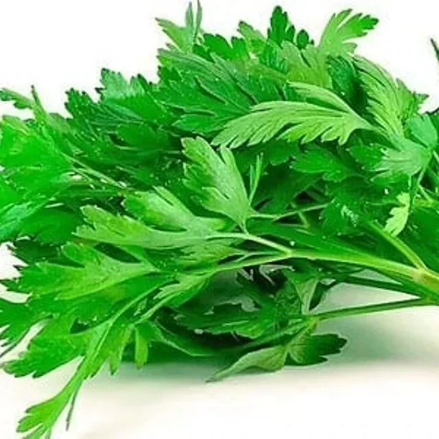 100 gr PEREJIL 