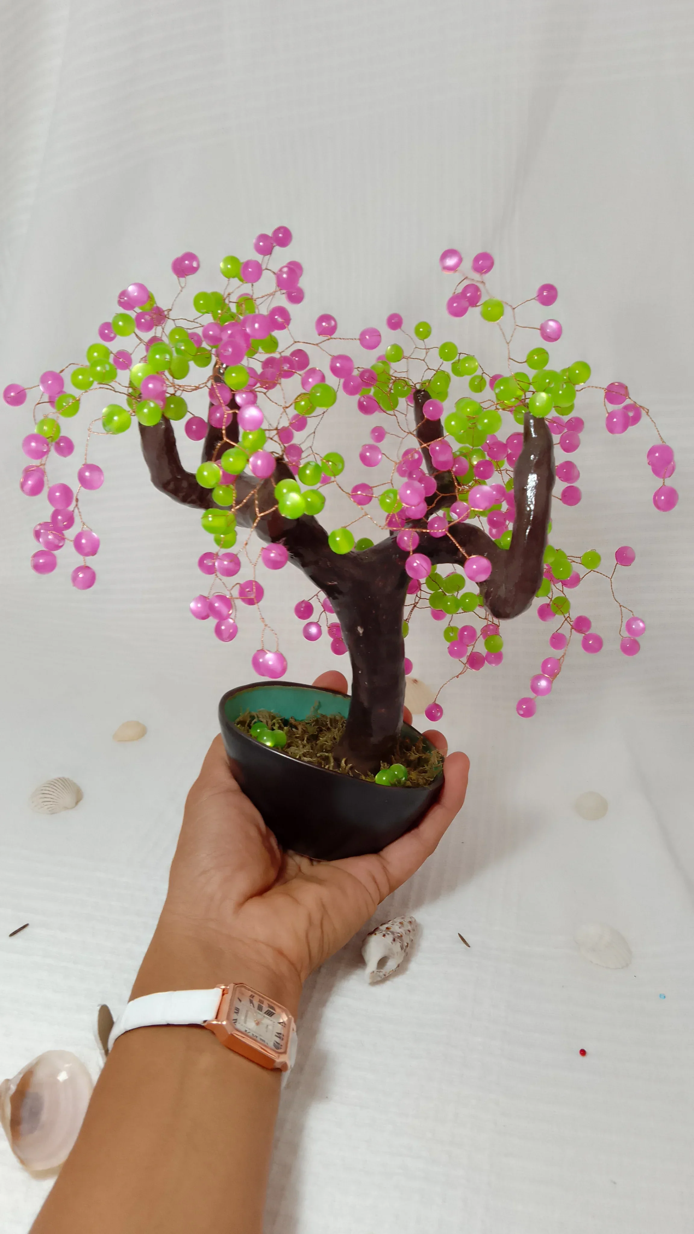 Bonsai Chocolate Fucsia 6
