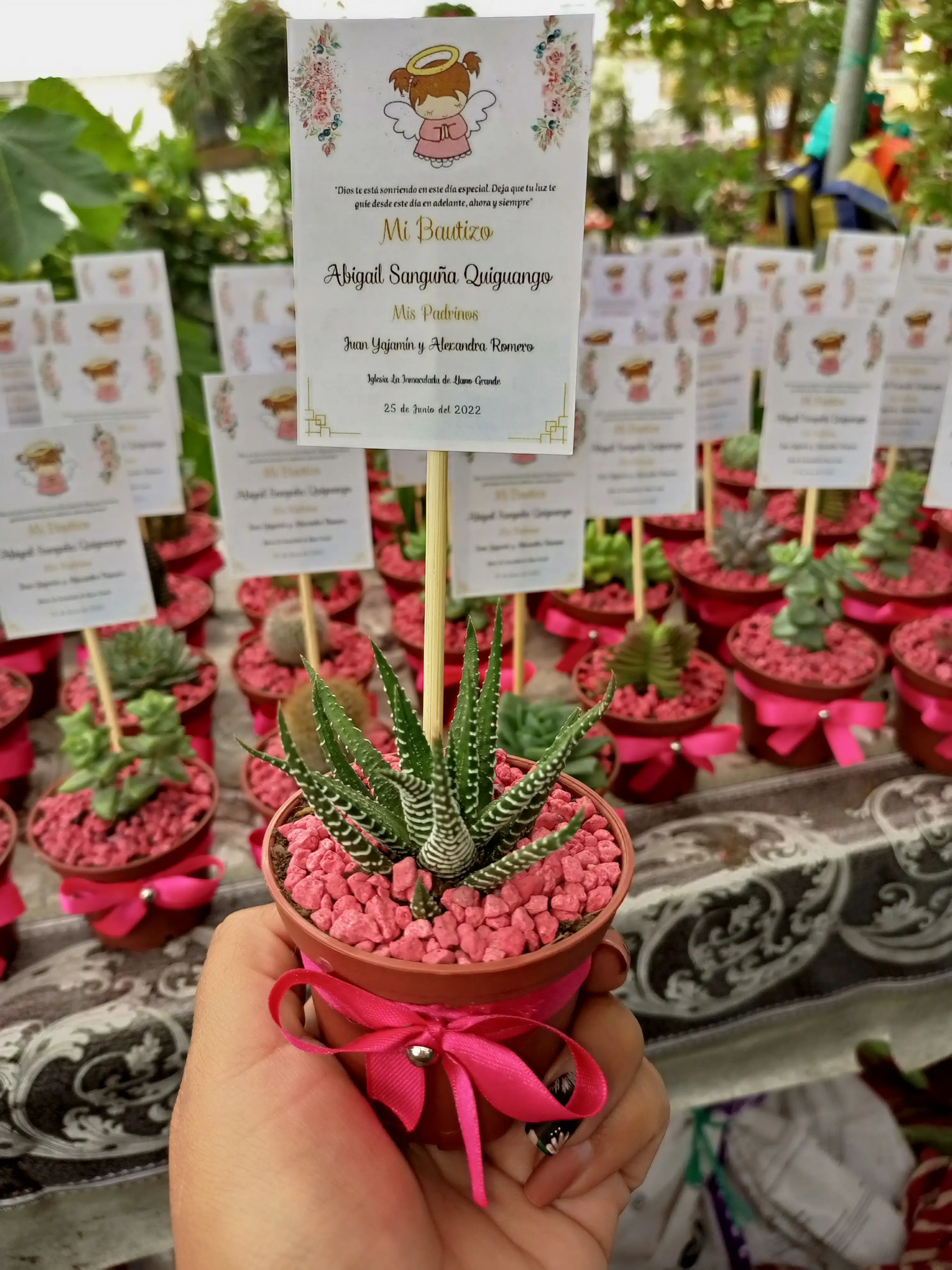 Maceta de Plástico Mediana  2