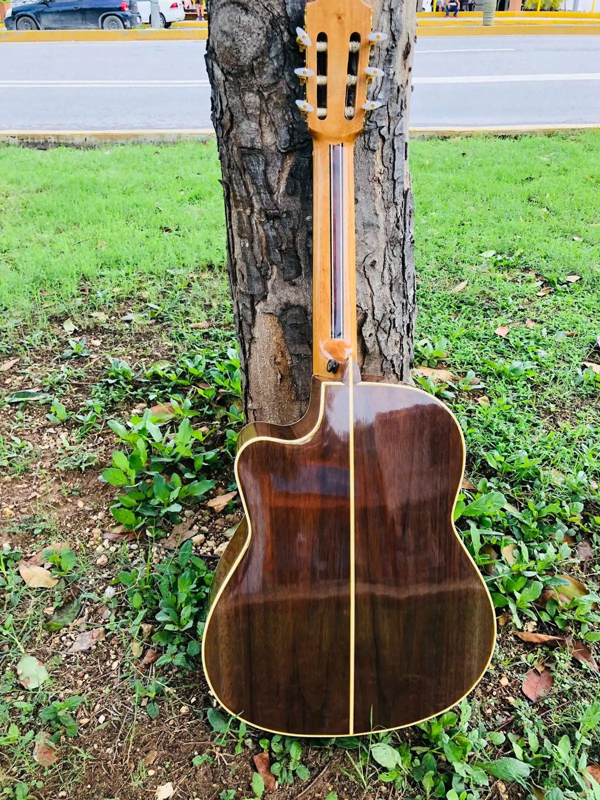 Requinto profesional  2