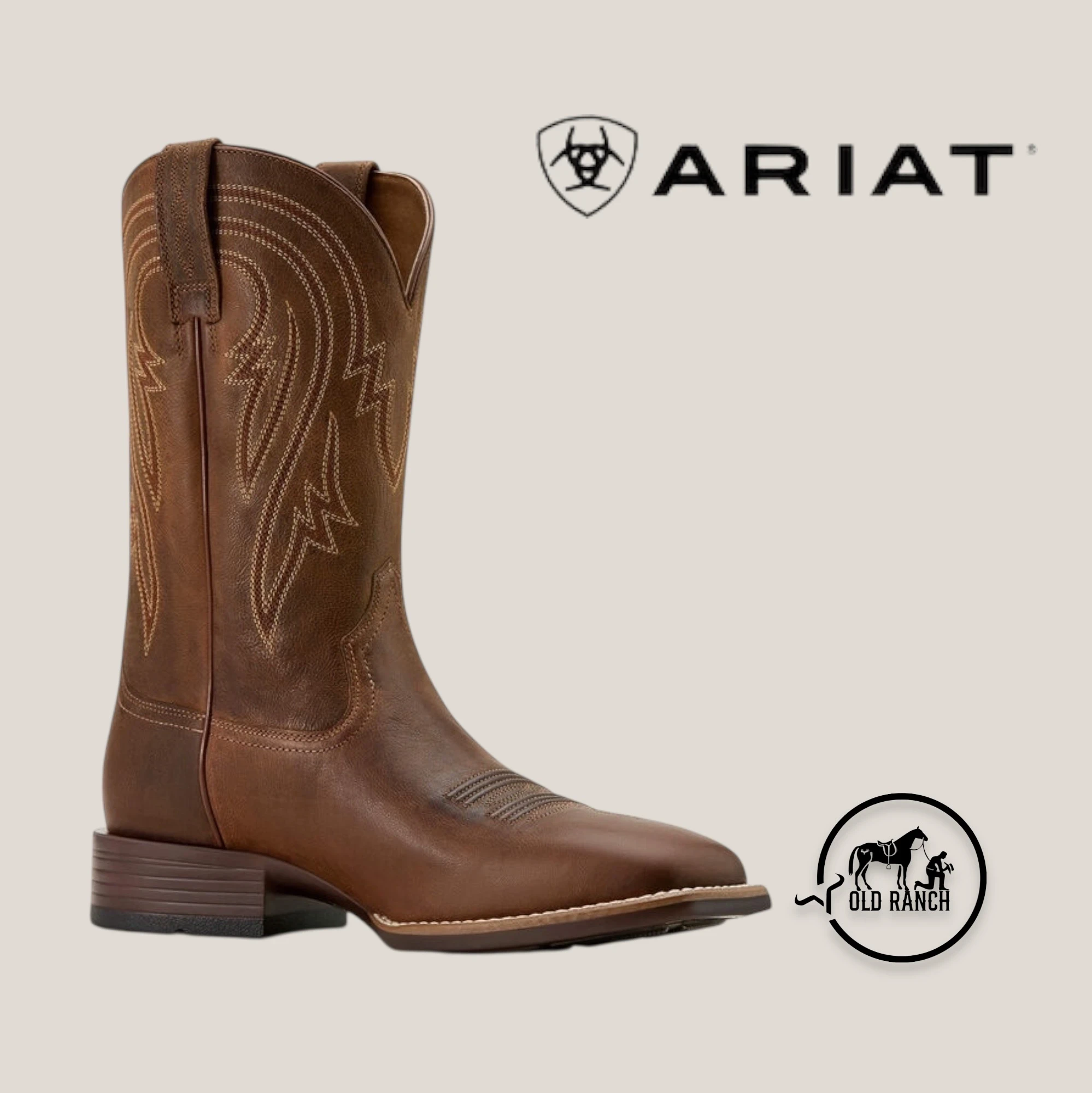 ARIAT 3