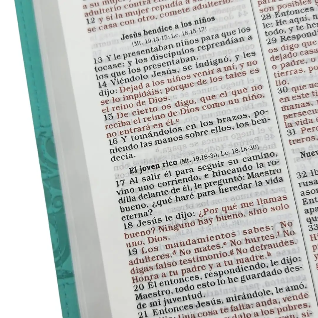 Biblia RVR60 Regalos y premios Azul Turquesa Simil piel 4
