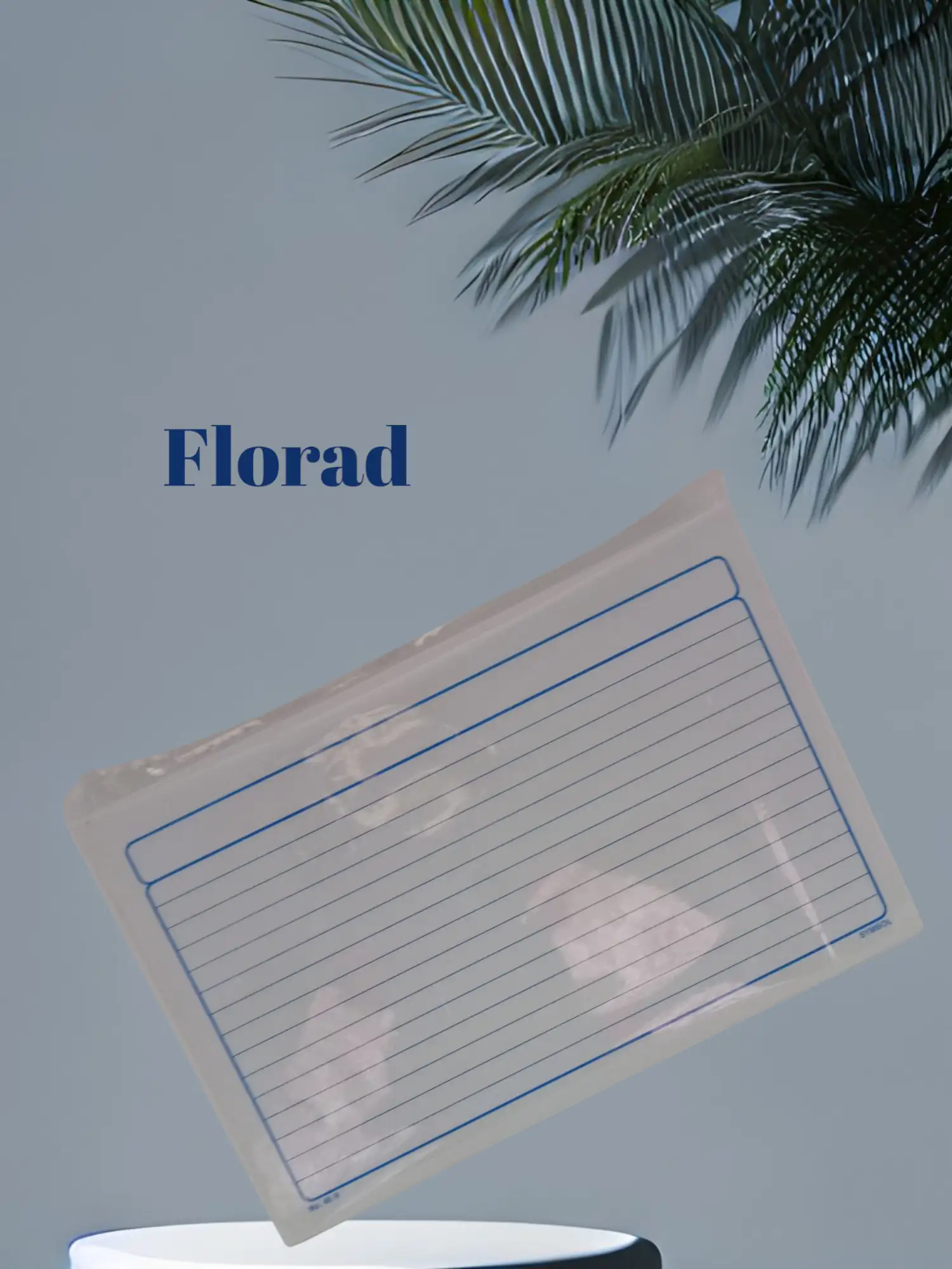 Fichas bibliográficas 