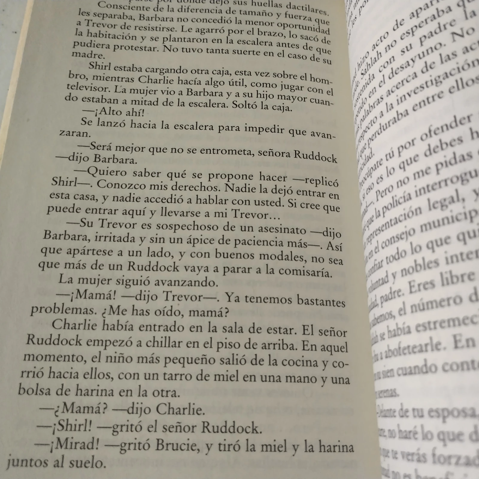 El precio del engaño, Elizabeth George, usado 3