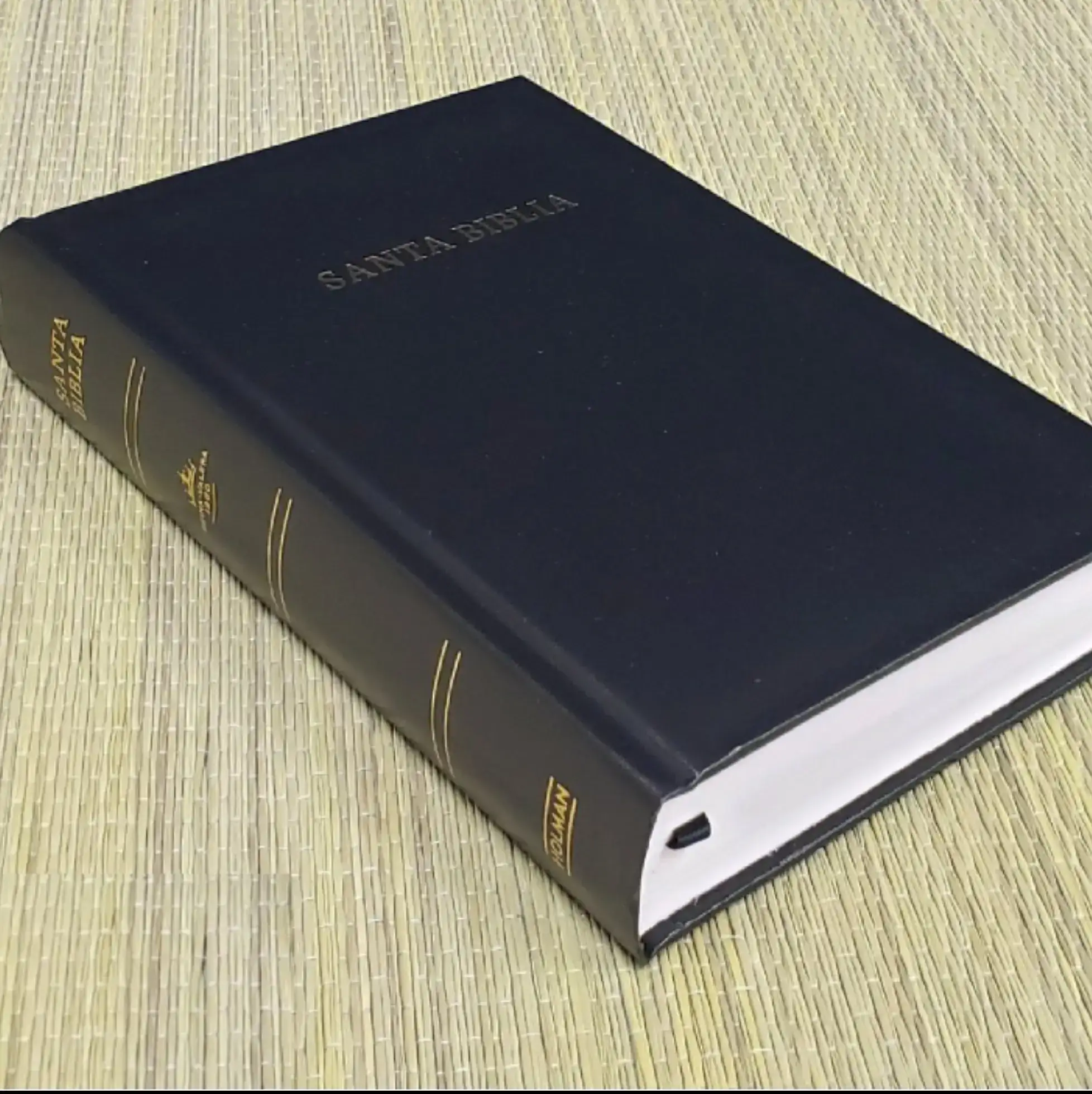 Santa Biblia LG Manual RVR60 6
