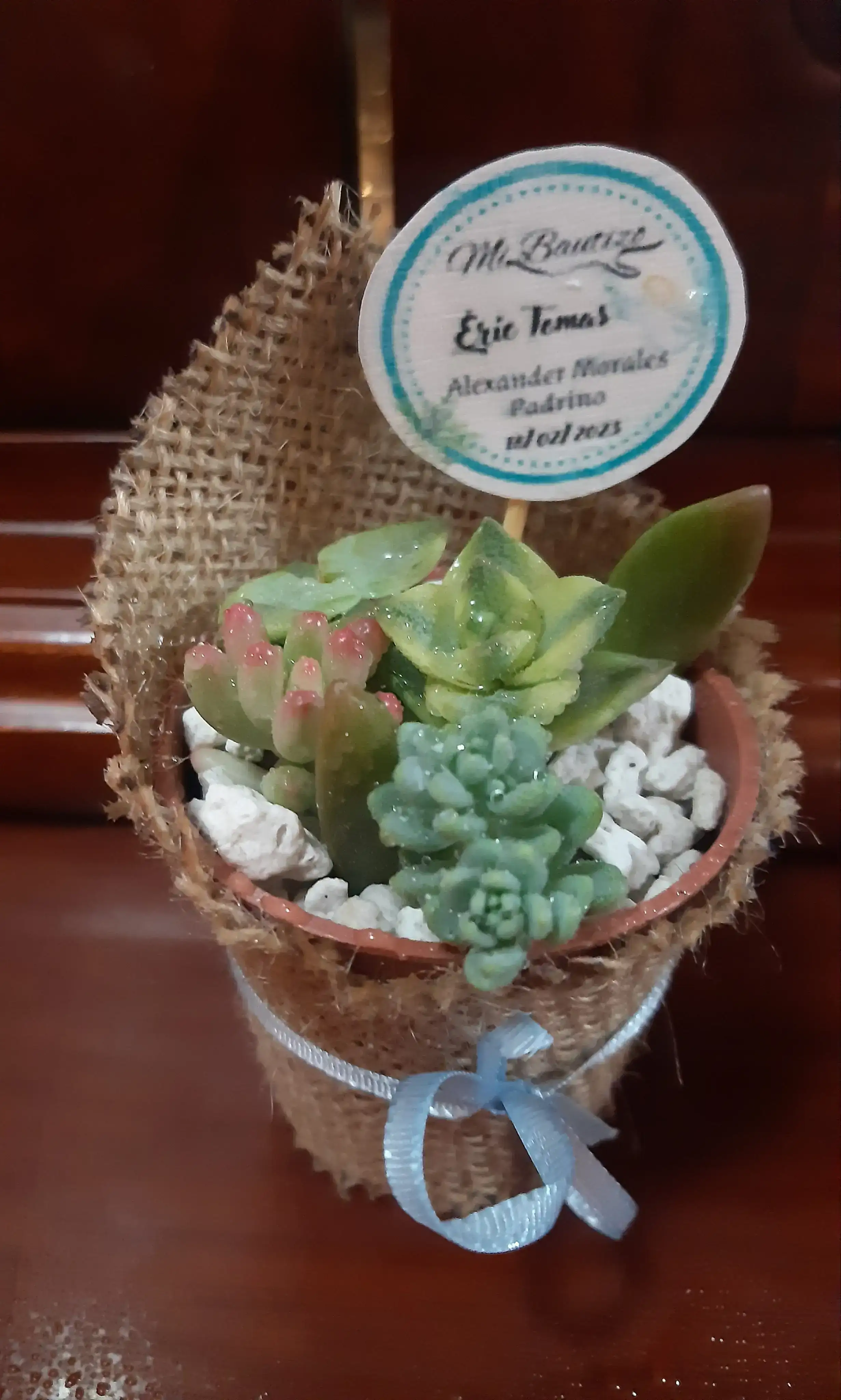 Recuerdo mini suculentas