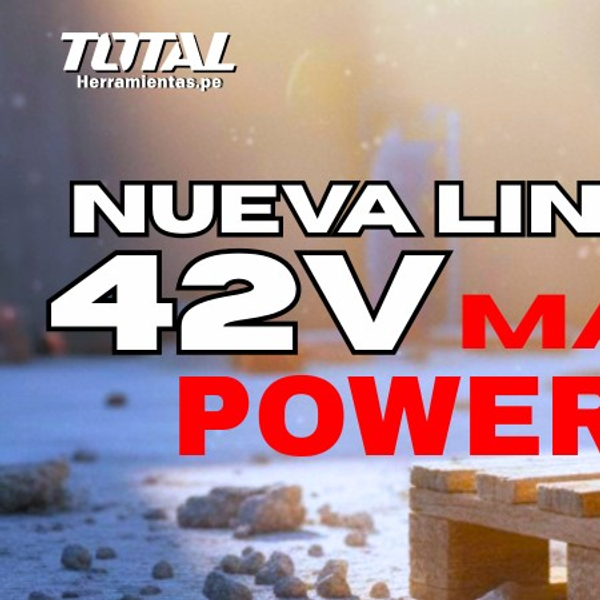 42 V TOTAL MAX POWER