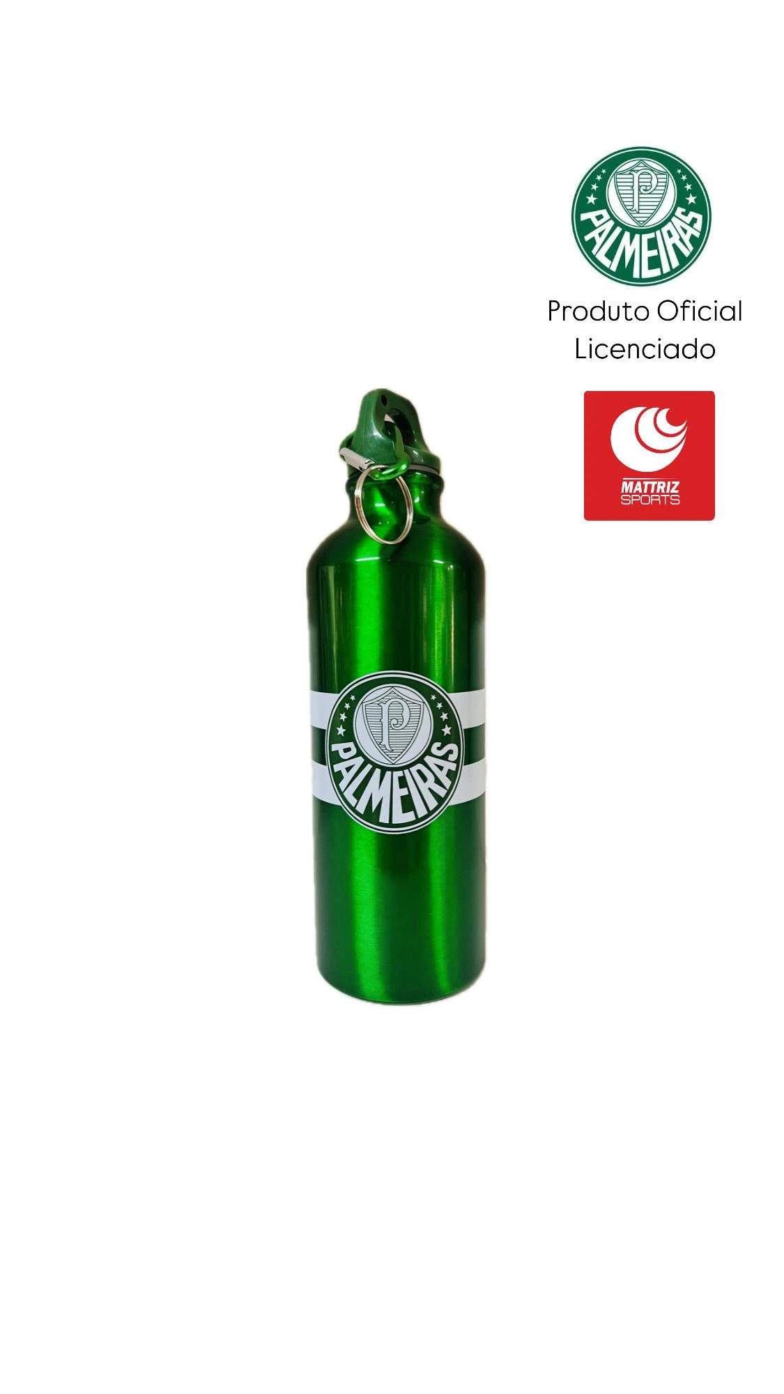 GARRAFA PALMEIRAS + SANDÁLIAS HAVAIANAS  3