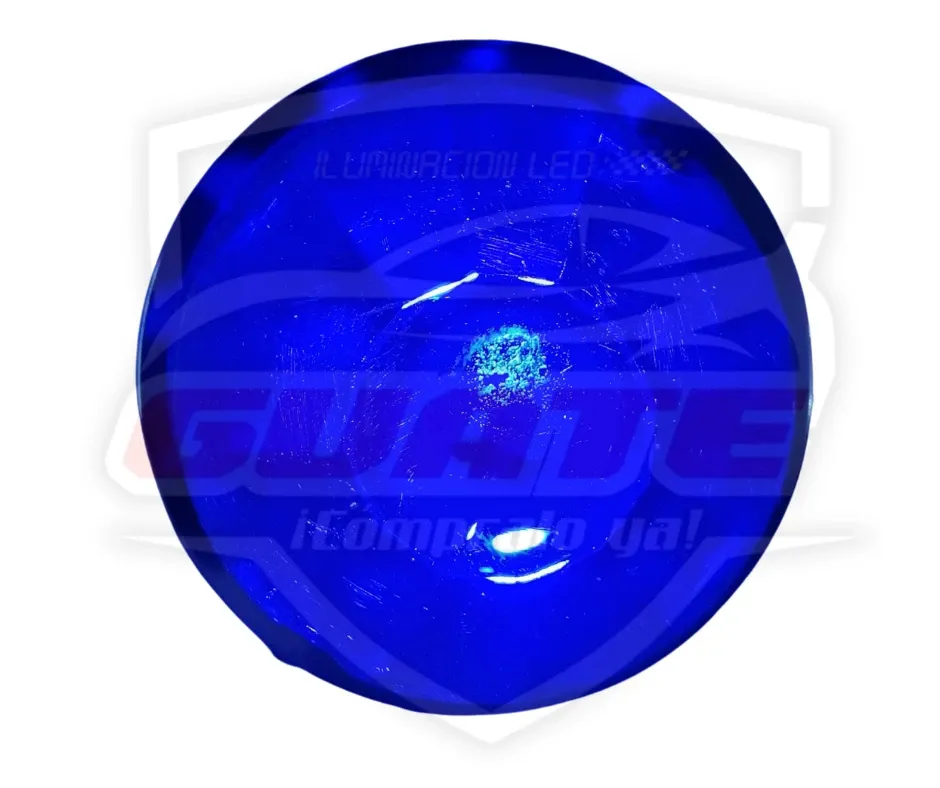LUCES LED WATERMELON AZUL 4