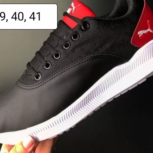 Puma 2