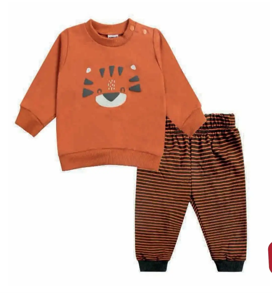 Conjunto 2 piezas tigre