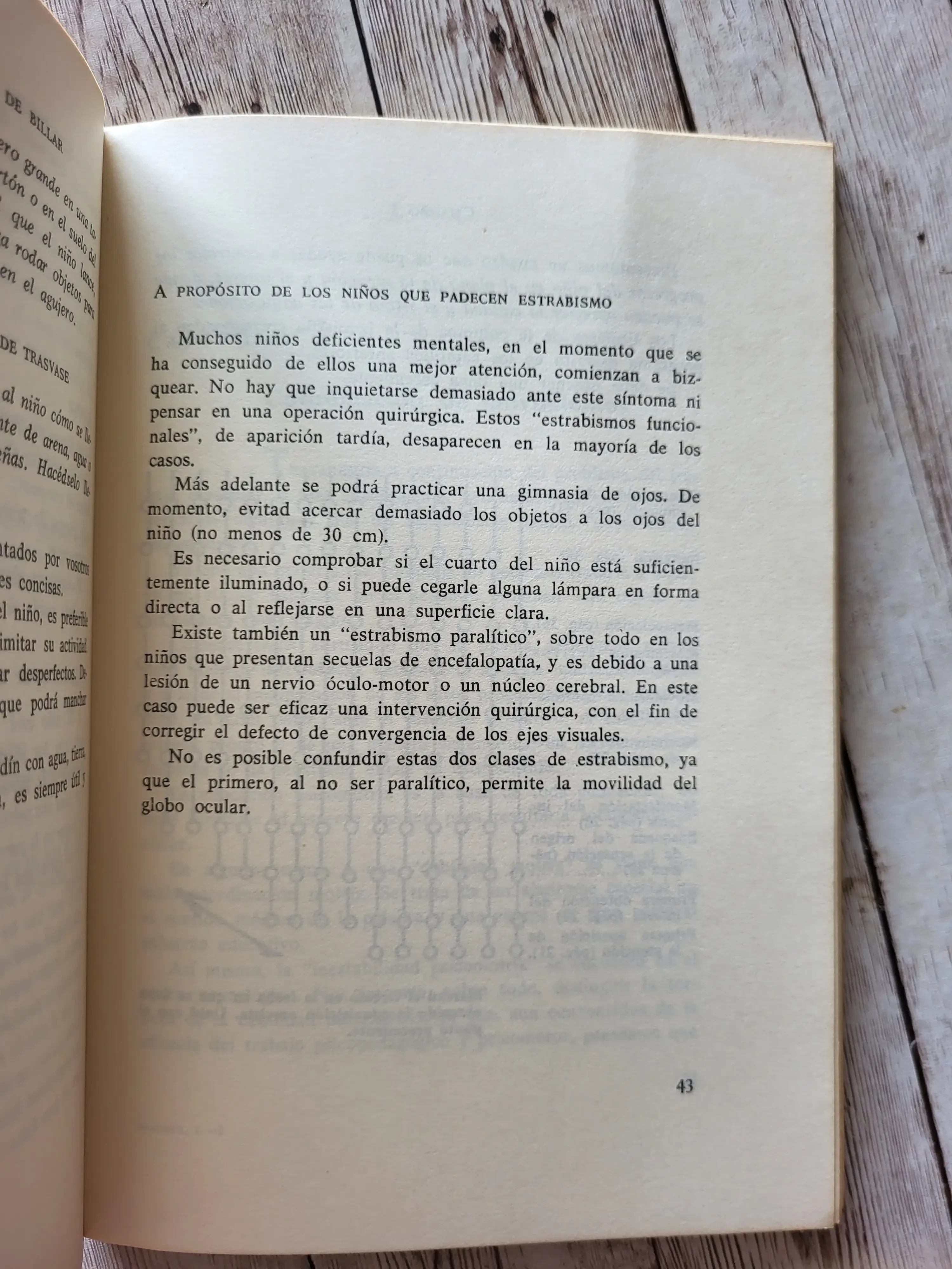 La educación de un niño deficiente mental / Brauner y Brauner / Psicologia  2