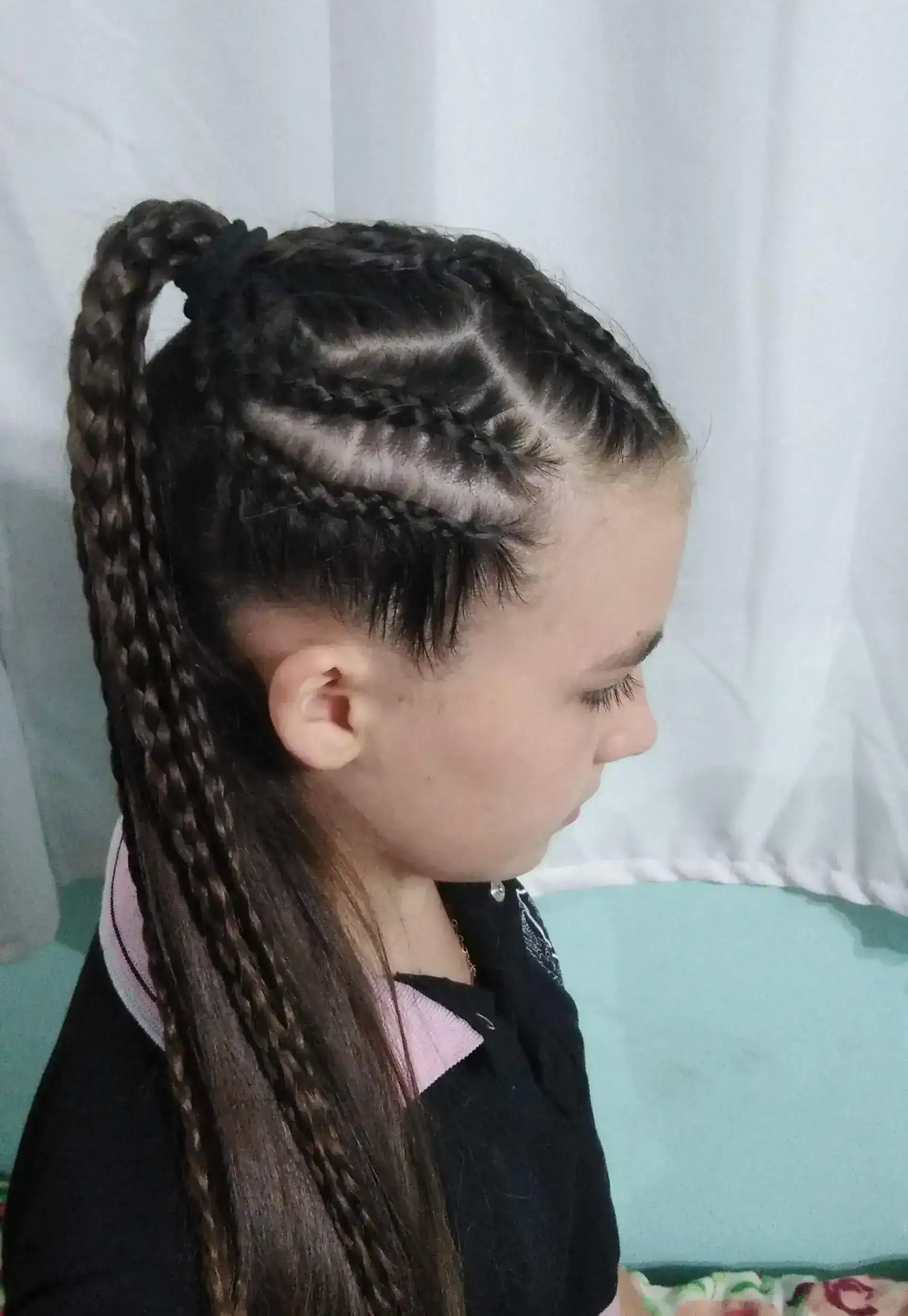 Trenzas con coleta
