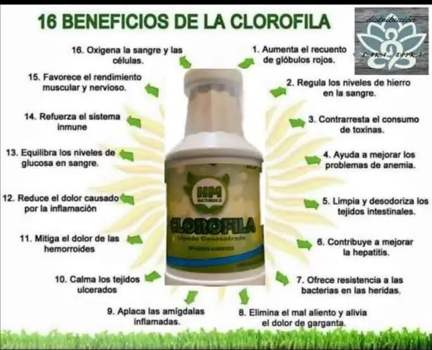 Clorofila 500 ml 2