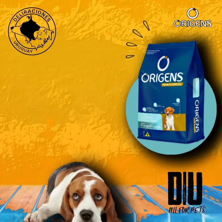 Origens cachorro r.mini y pequeñas 