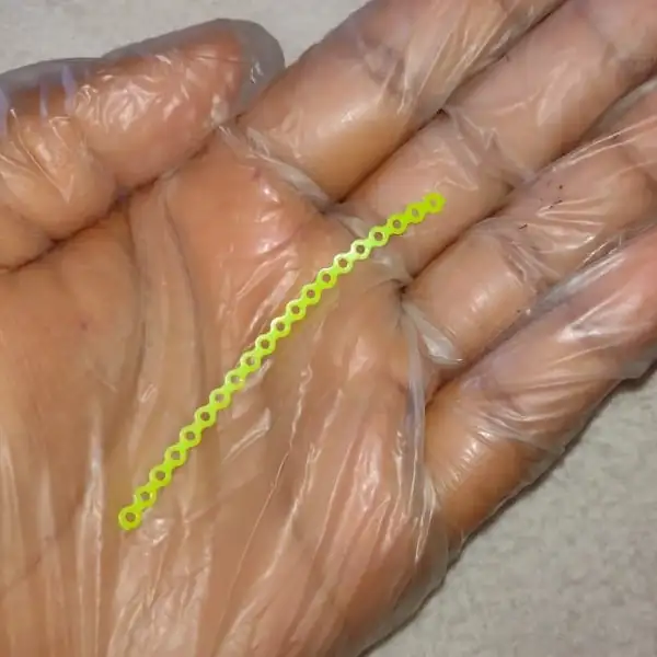 Amarelo Limão 