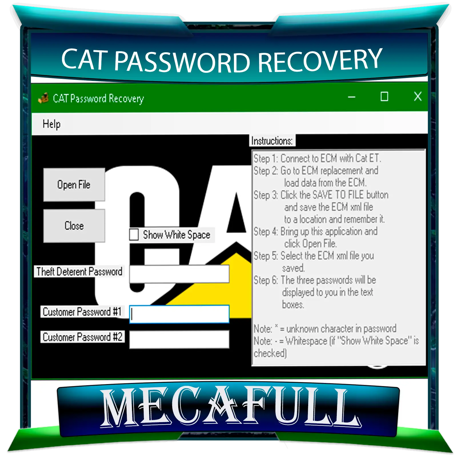 CAT PASSWORD RECOVERY ECM
