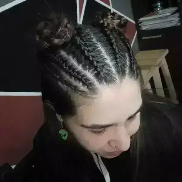 Seis trenzas con rodetes
