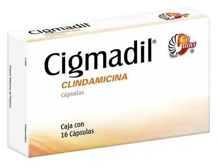 Cigmadil 300 mg (Clindamicina) 
