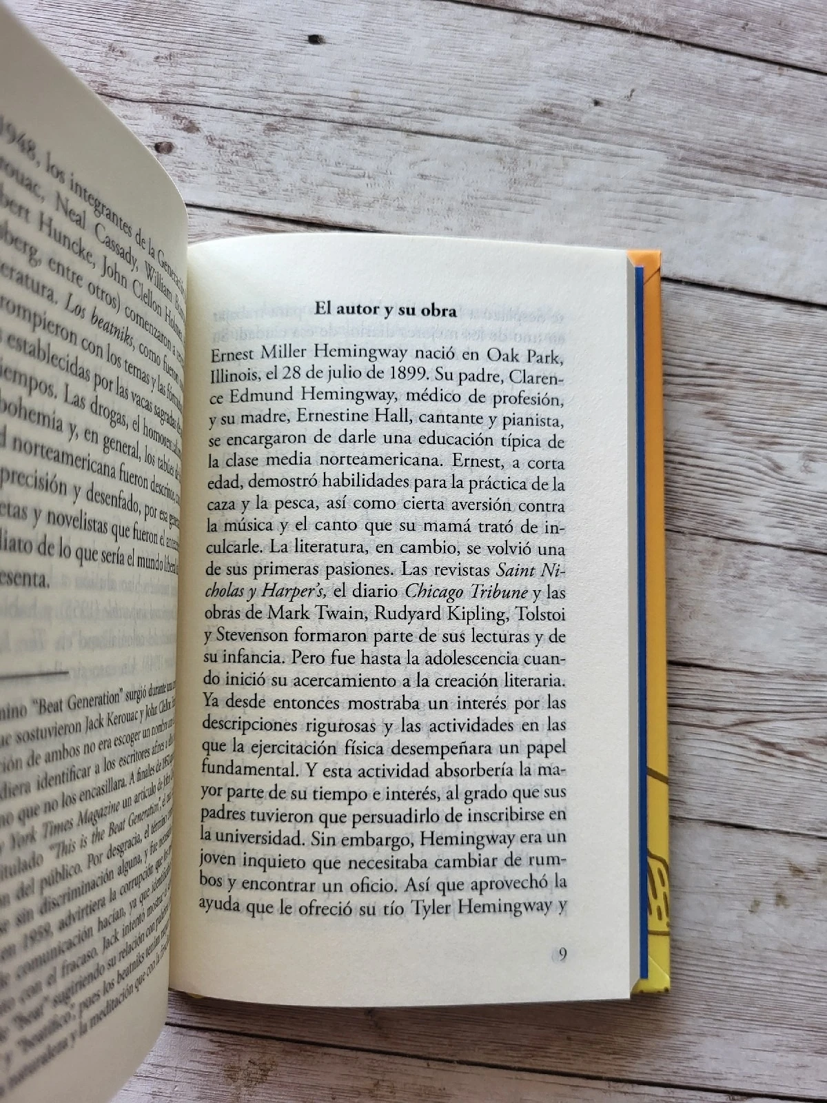 El viejo y el mar / Ernest Hemingway / Perseverancia / 3
