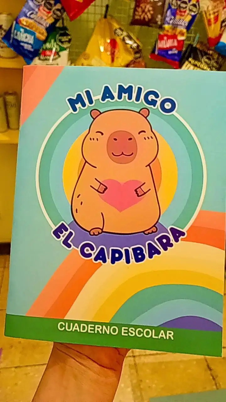 Cuadernos escolares kawaii  2