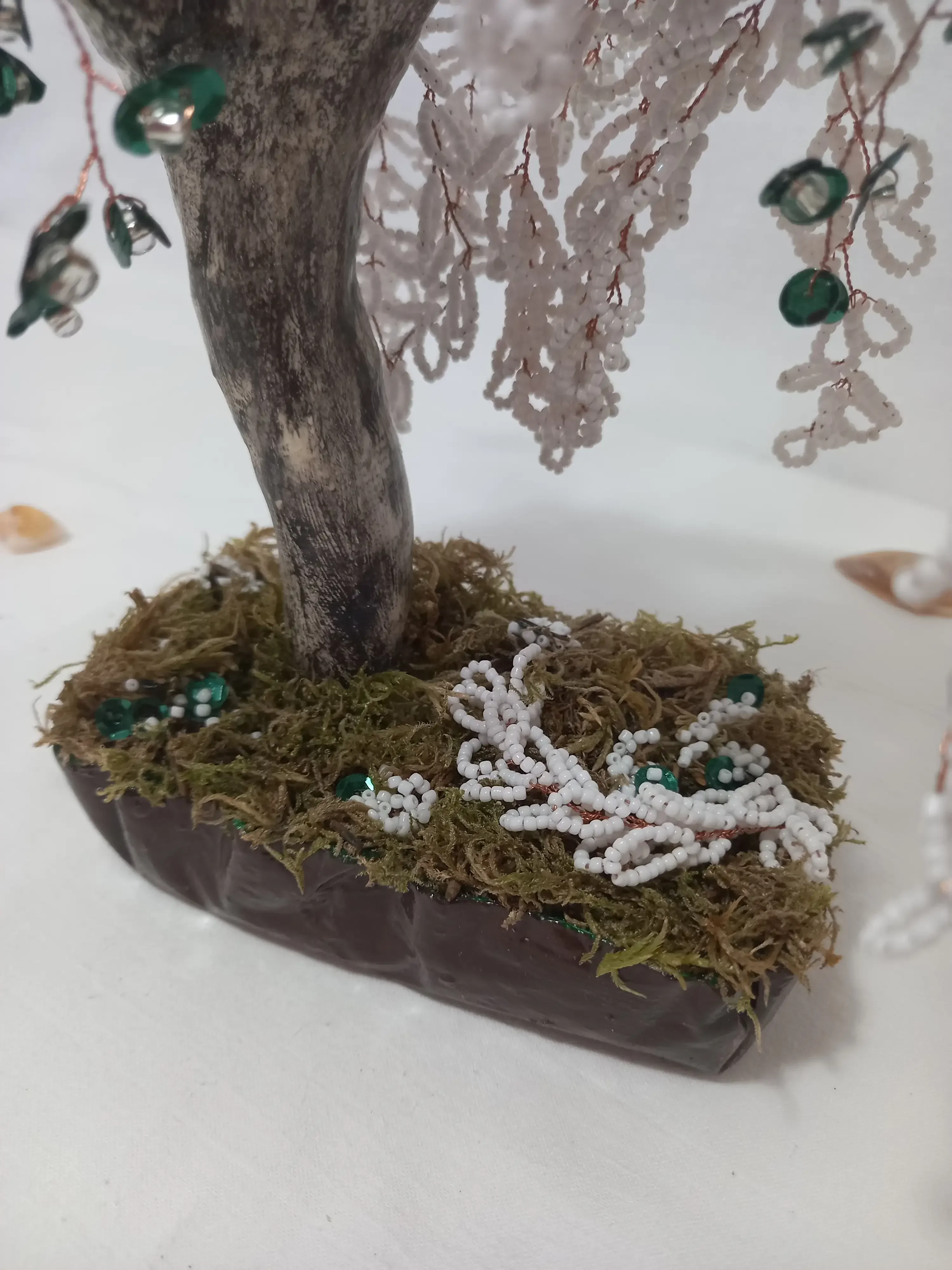 Bonsai Sauce Lloron Blanco  2