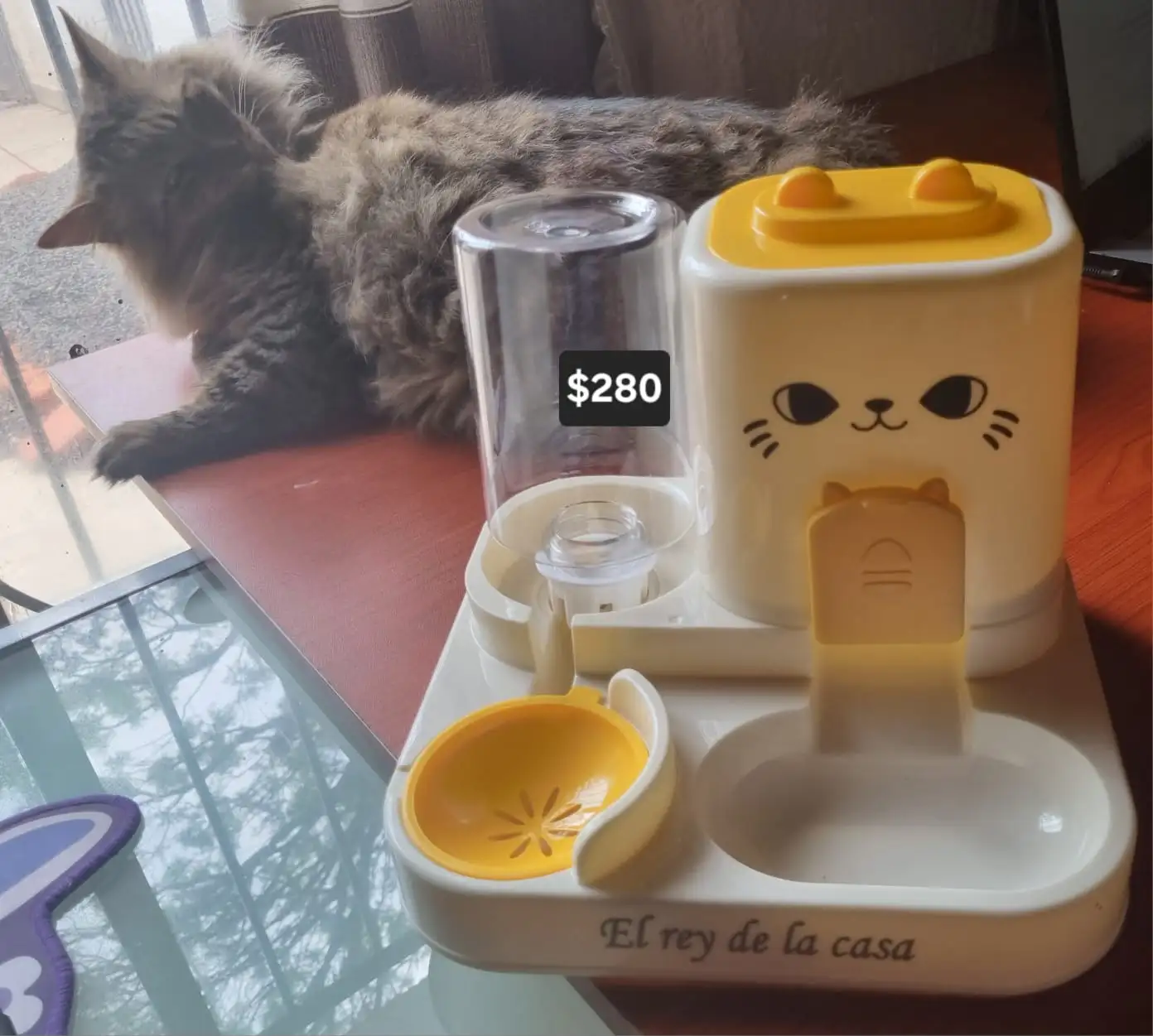 Comedero para mascota 2