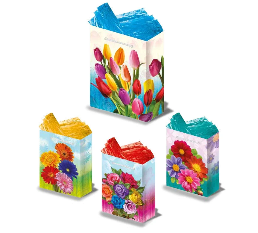 BOLSA REGALO C ARCOIRIS FLORAL