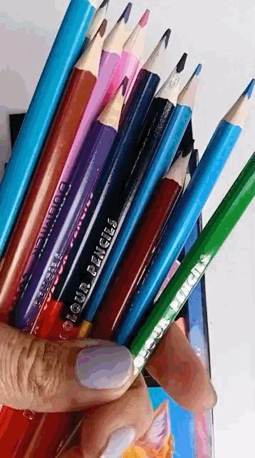 Colores dumúo dounier 6