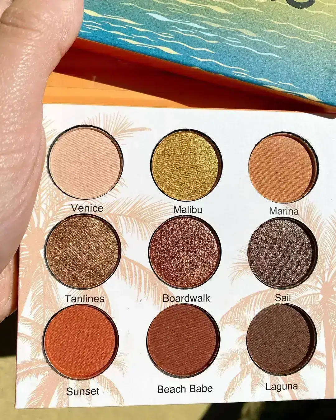 PALETA CALI CHIC  2