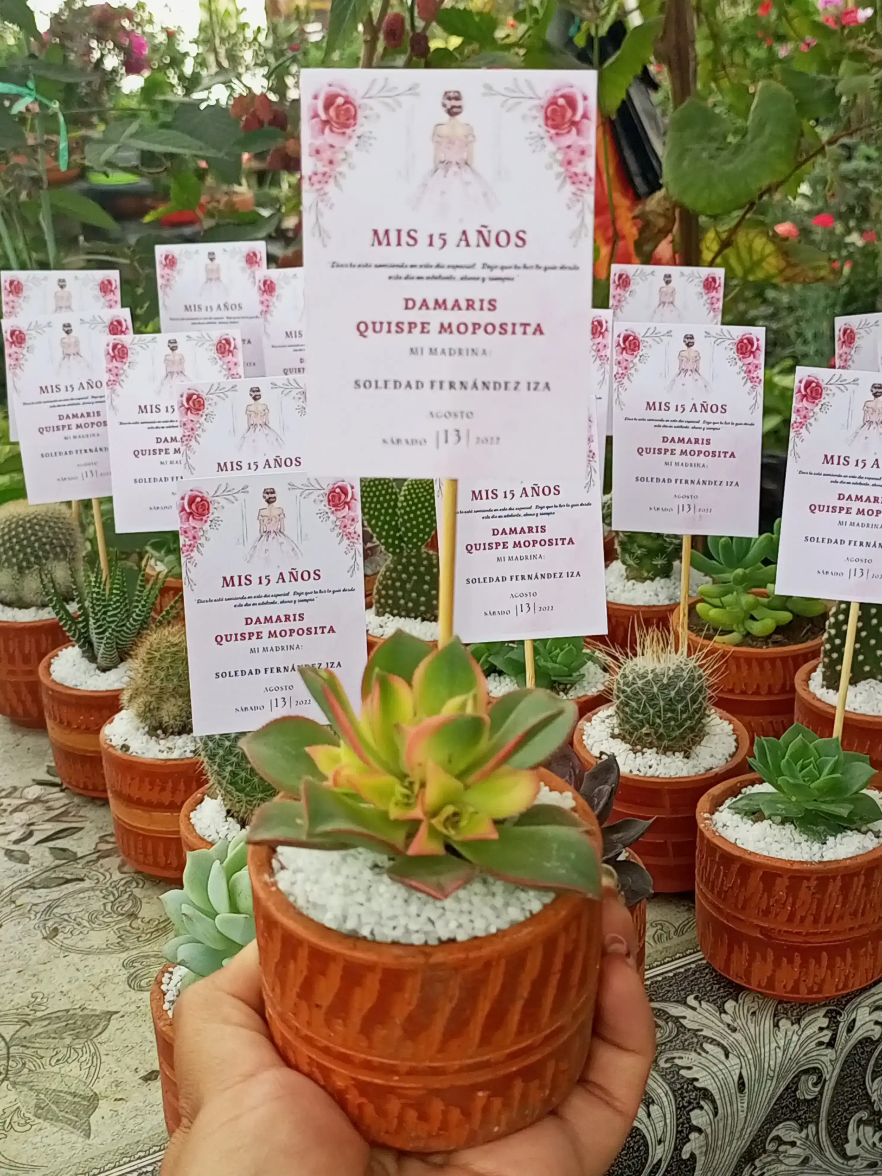 Maceta de barro mediana  3