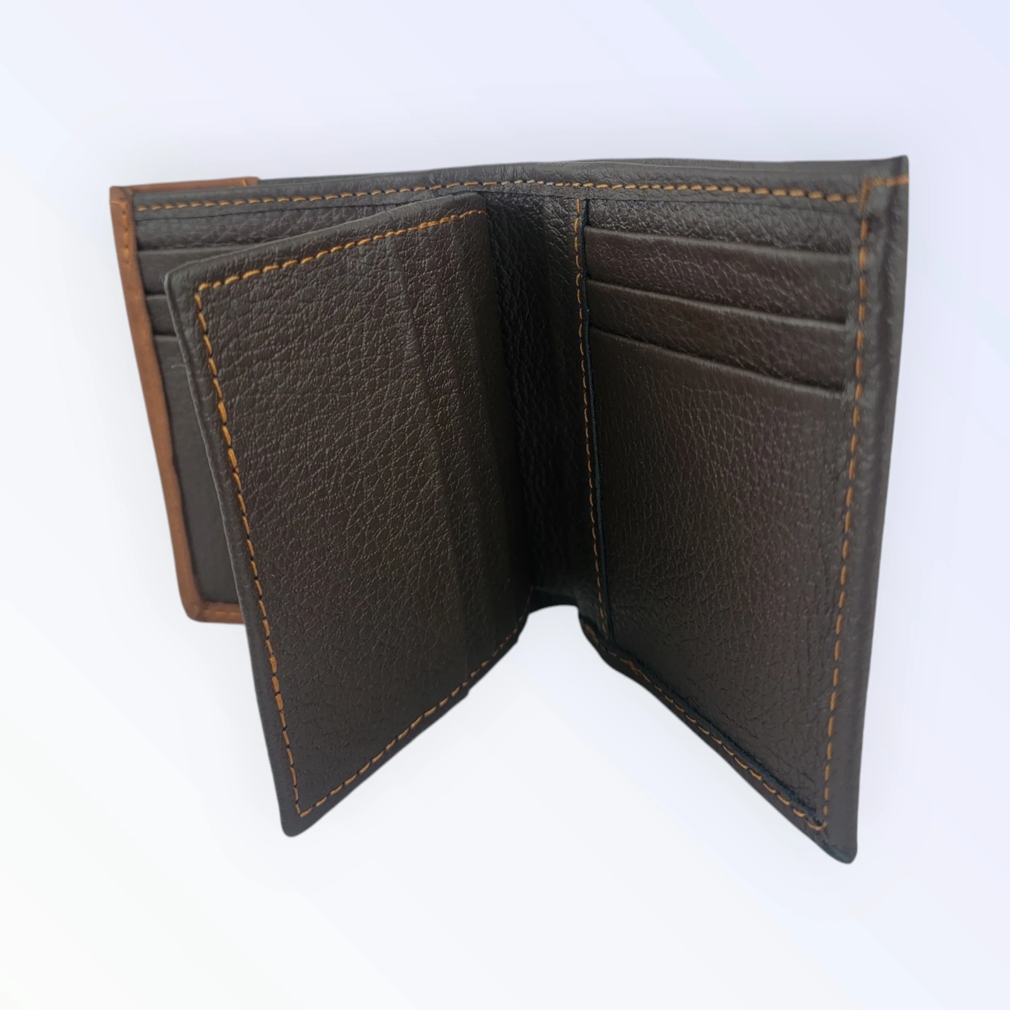 Billetera Bifolio crazy  4