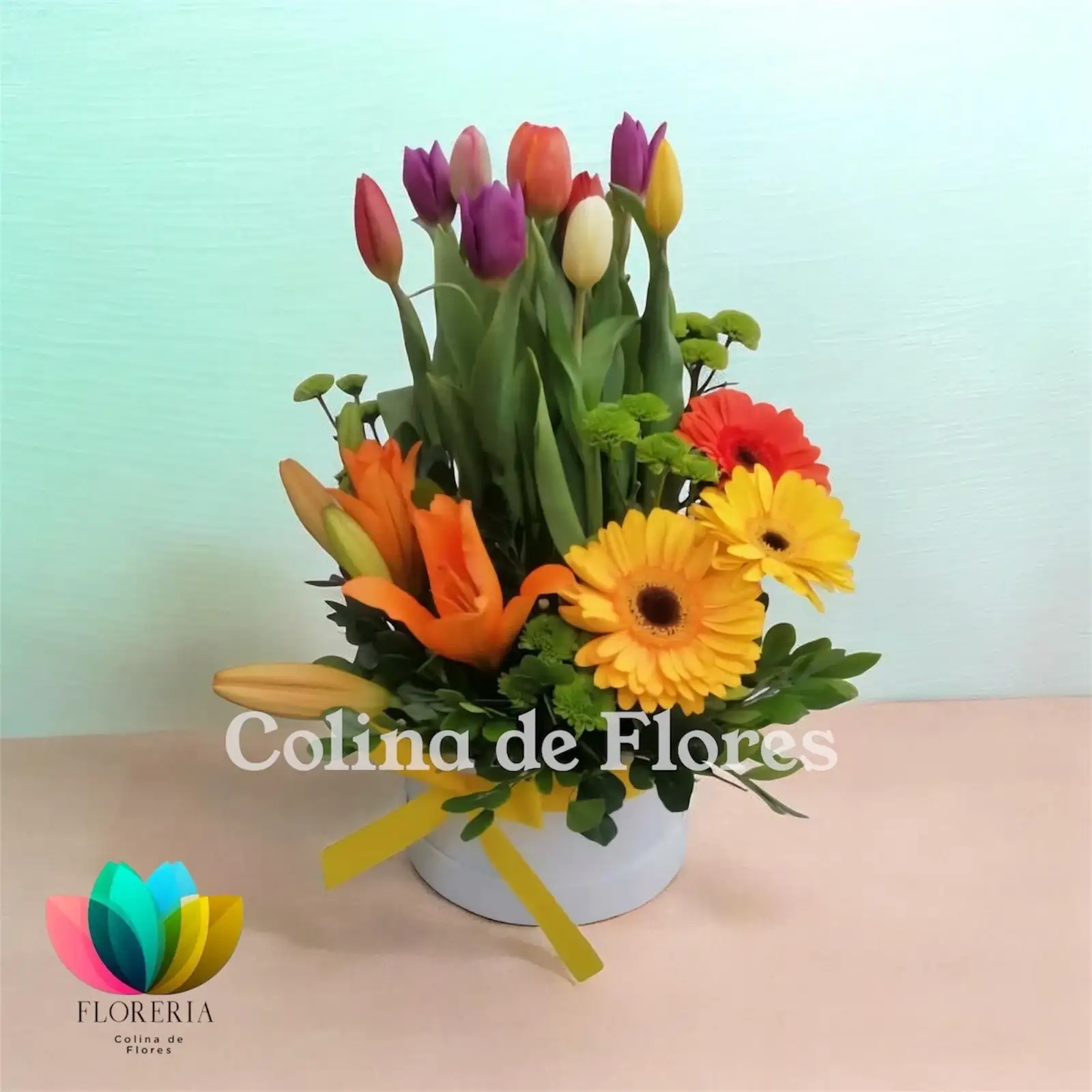 Tulipanes , gerberas lirios 