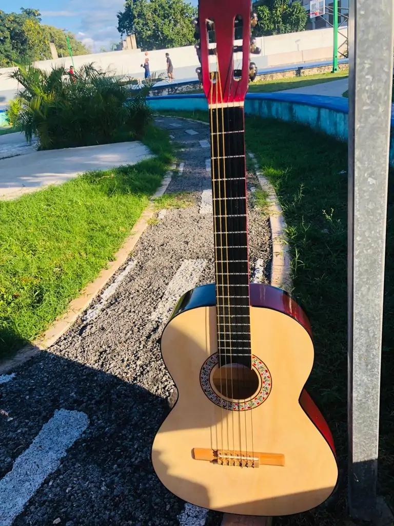 Guitarra clásica vino 2