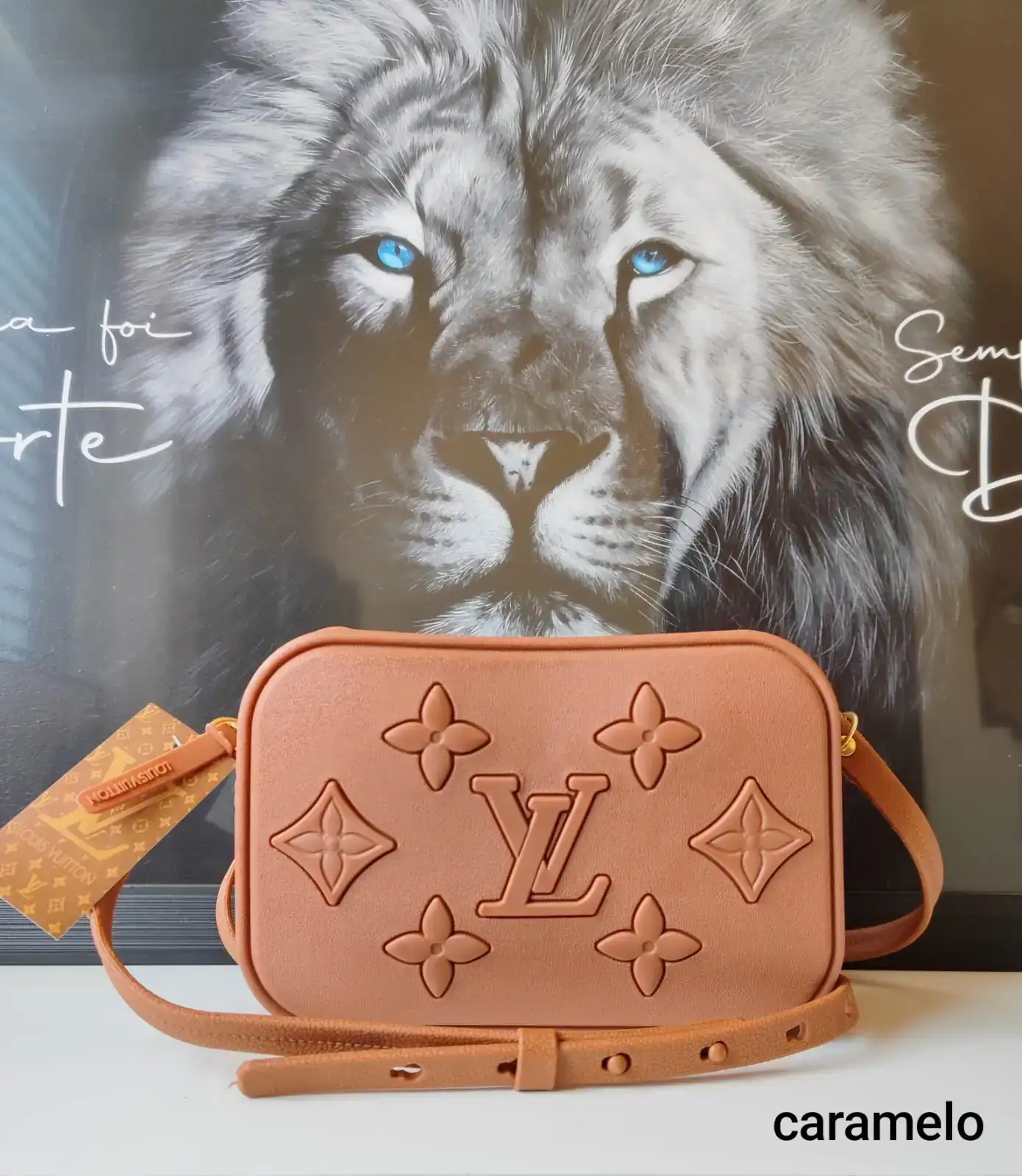 BOLSA LOUIS VUITTON ALÇA  2