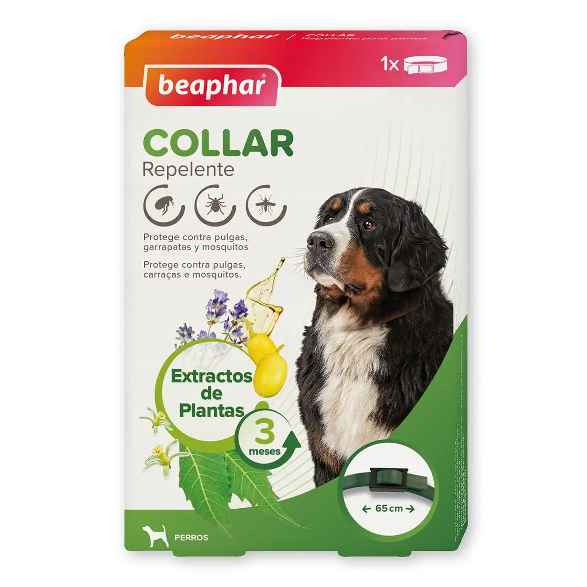 collar insecticida 