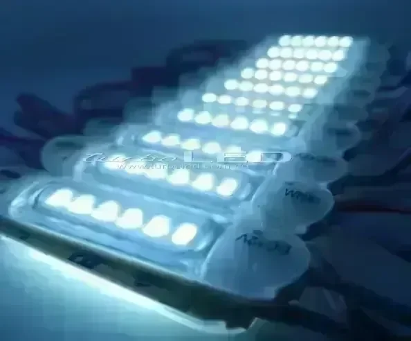 MODULO TORTUGA 12V (101003)