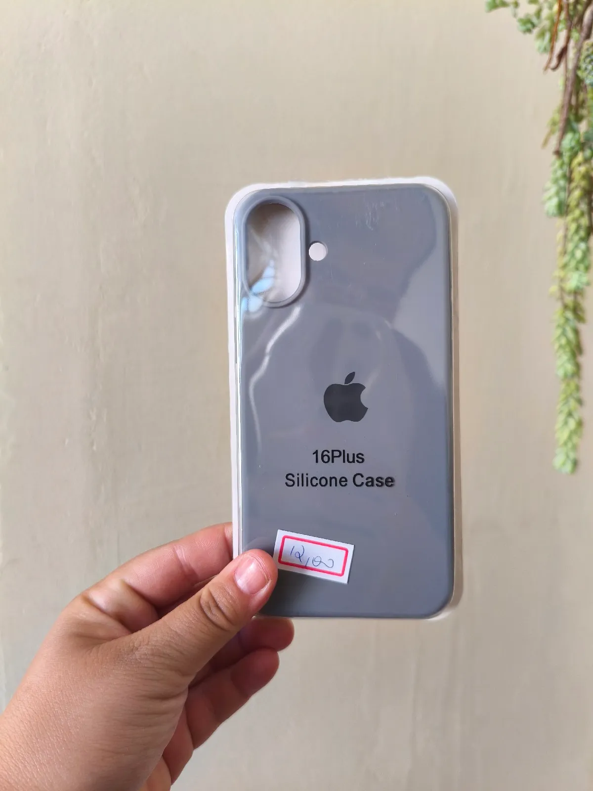 16 plus 