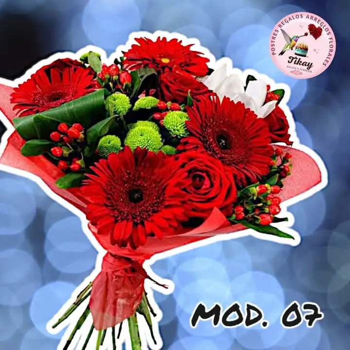 Mod. 07
