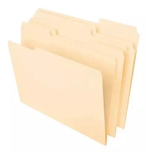 Carpeta manila clasica Ideal 2
