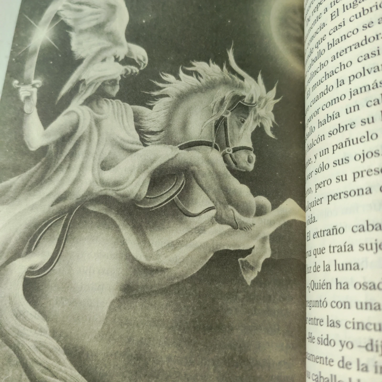 El alquimista Paulo Coelho usado  3